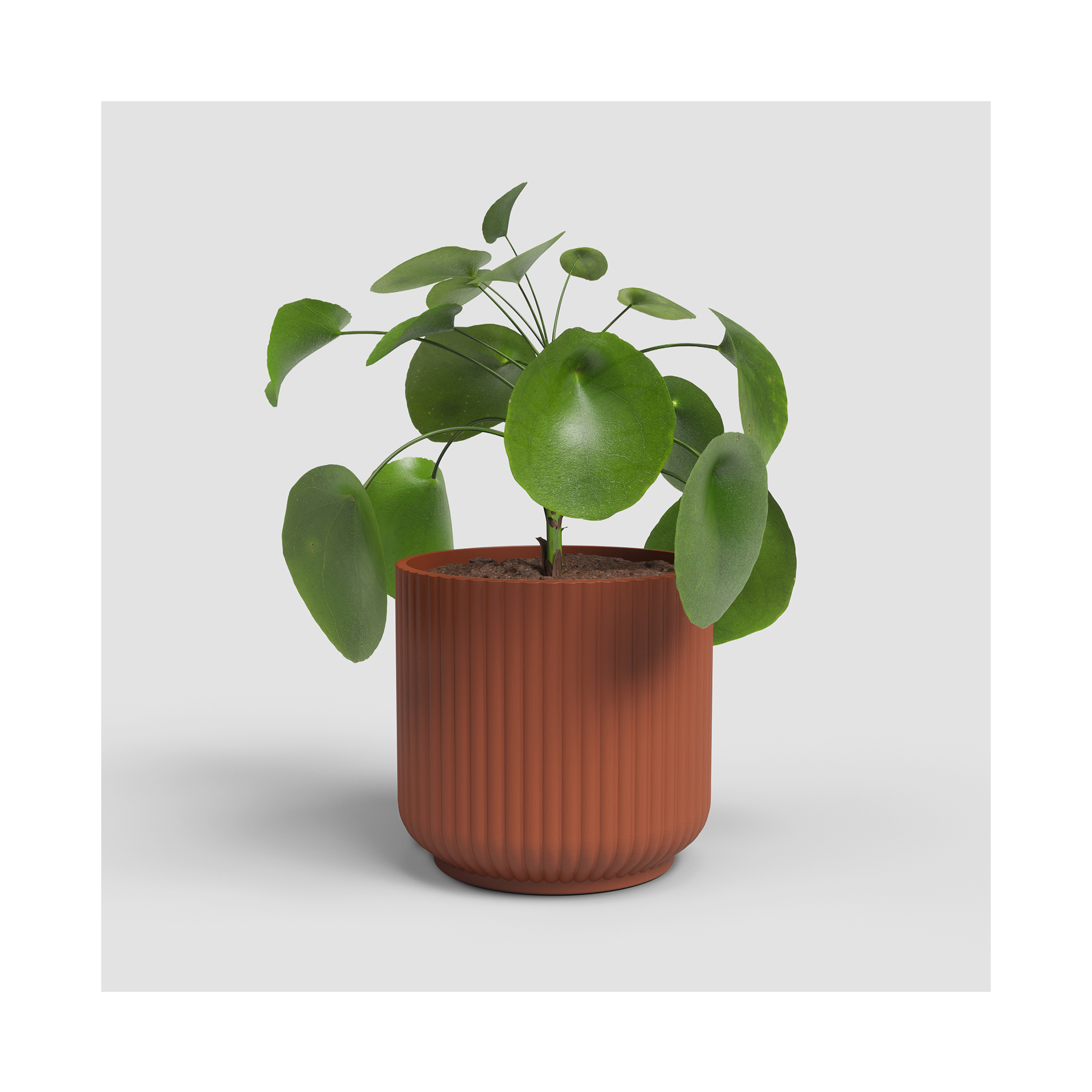 VASO LUNA 15CM TERRACOTA