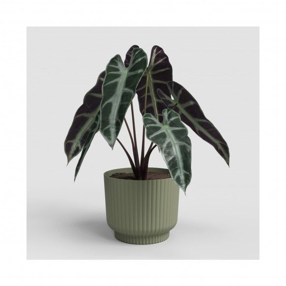 VASO MIAMI WAVY 20CM VERDE CINZA VASO MIAMI WAVY 20CM VERDE CINZA