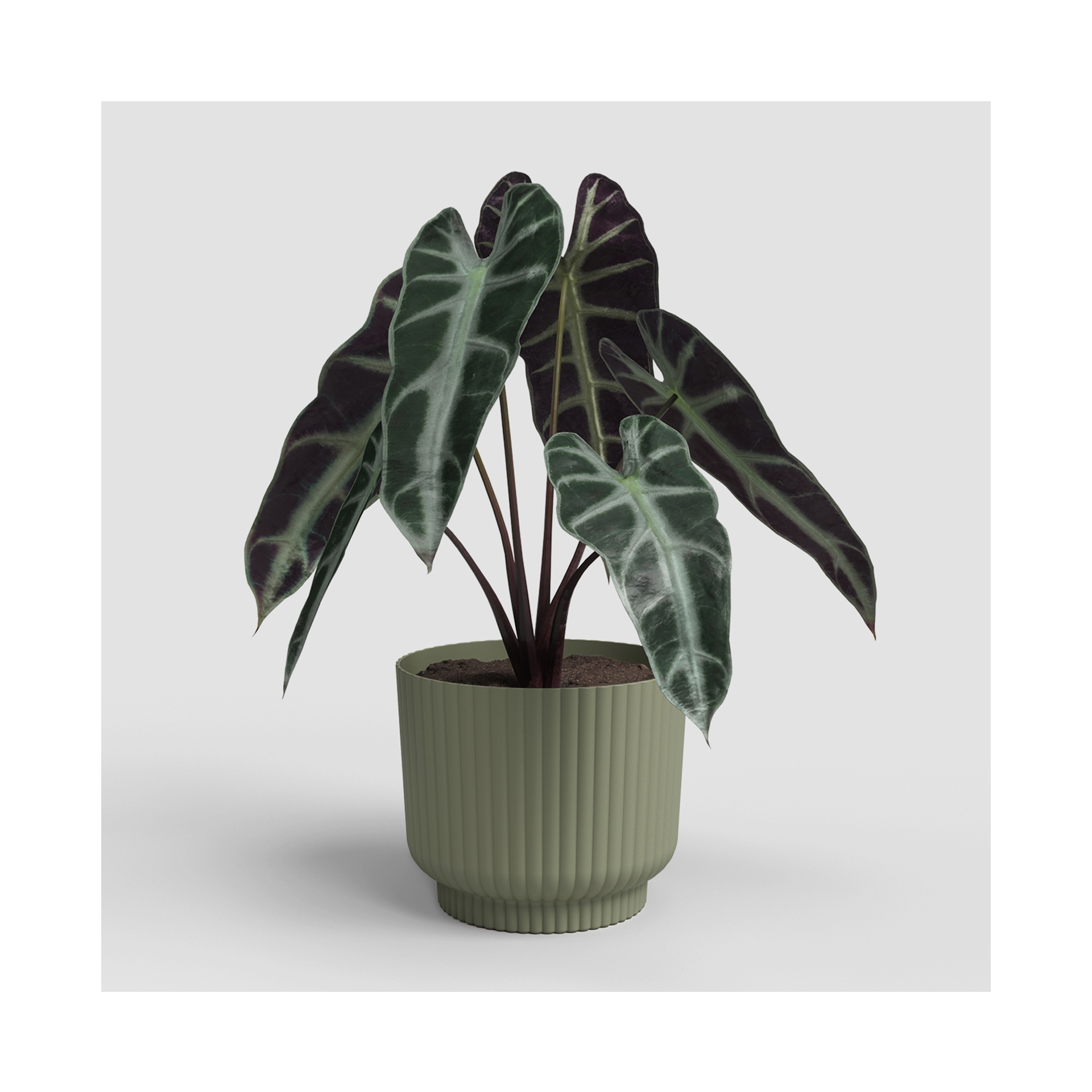 VASO MIAMI WAVY 20CM VERDE CINZA