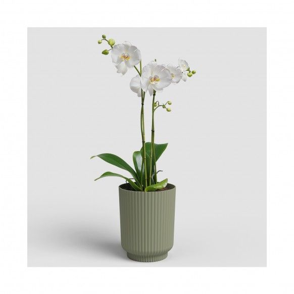 VASO MIAMI WAVY ORQUIDEA 12.5CM VERDE CINZA VASO MIAMI WAVY ORQUIDEA 12.5CM VERDE CINZA