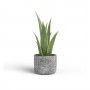 VASO CASSIA 25CM ANTRACITE VASO CASSIA 25CM ANTRACITE