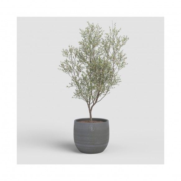 VASO SELENE 21CM ANTRACITE