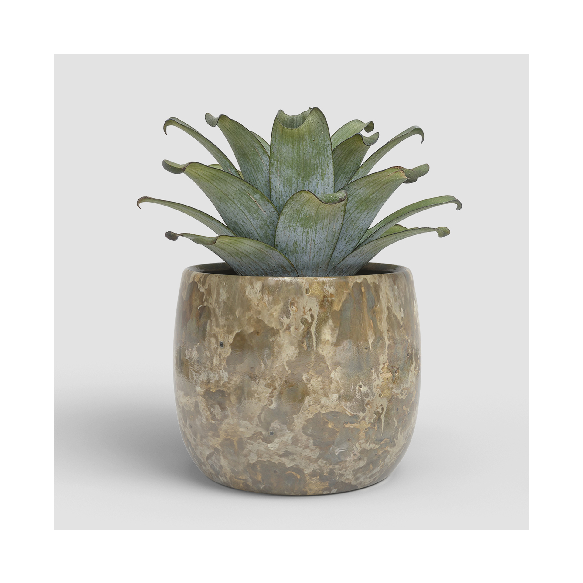 VASO CALLISTO 23CM VERDE DOURADO