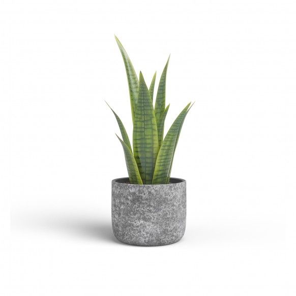 VASO CASSIA 25CM ANTRACITE VASO CASSIA 25CM ANTRACITE