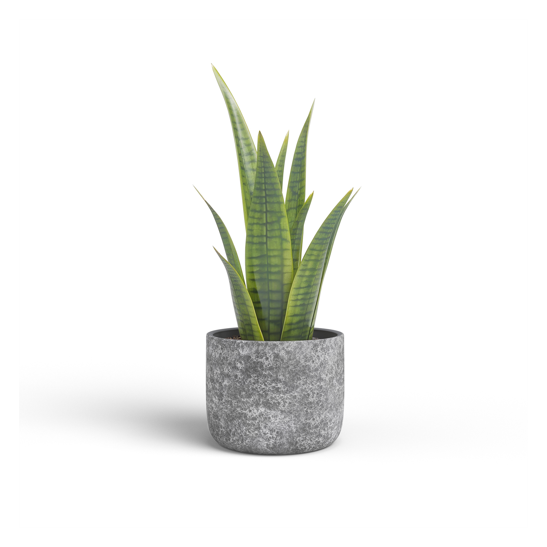 VASO CASSIA 25CM ANTRACITE