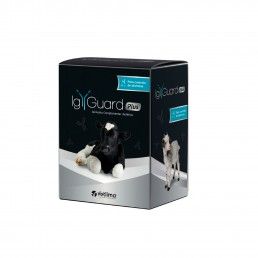 IG GUARD PLUS - 100GR