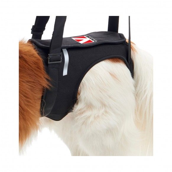 ARNES DE ELEVA�AO PATAS TRASEIRAS - M