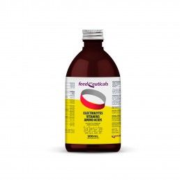ELETROLYTES SOLU�AO ORAL - 500ML