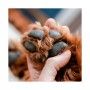 BALSAMO PROTETOR DE PATAS - 100ML BALSAMO PROTETOR DE PATAS - 100ML